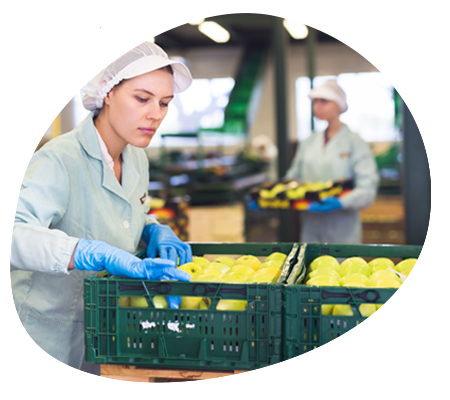 LP-AGRO-FL-optimiser LP-AGRO-FL-optimiser